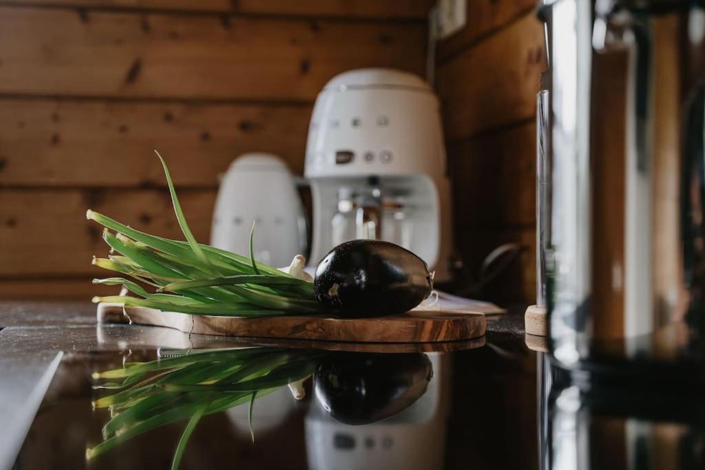 Life & Cooking Holiday Home Ermelo Ngoại thất bức ảnh